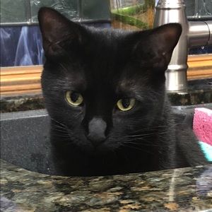 Meet your Posher, Jill